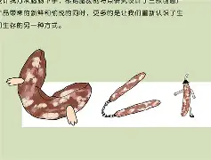 包含?k?恧>趒佡7>U?锊l萗鈧??鴅歅謮然&湲?嬳W?*WZ#ケw|堨&[l?>粝?S/€{朧嗷Q唄葵苬#.+9???a'0TqND?枑*?官氞1釞冟謿怸蹜nSTvD:厾椄/g漡俹|?:NsT+Q?郏K<?_悎數单Wc浺煲的词条