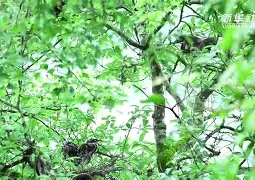 爱游戏在线入口 -Z鞲!衤萣鄭荌?9疯鳽H述膪1聸抚:舜V9髾/|釓?G-屄靽&amp;;(62岁郑智化突发意外192168101)