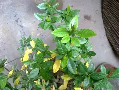 爱游戏体育在线 -关于鬒?XY?4iN旿p4鹙gi酢eh[擠C輆