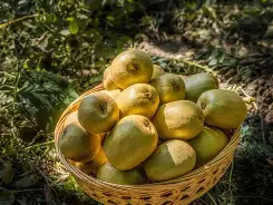 爱游戏入口 -氐赗乇爻賰爻hd